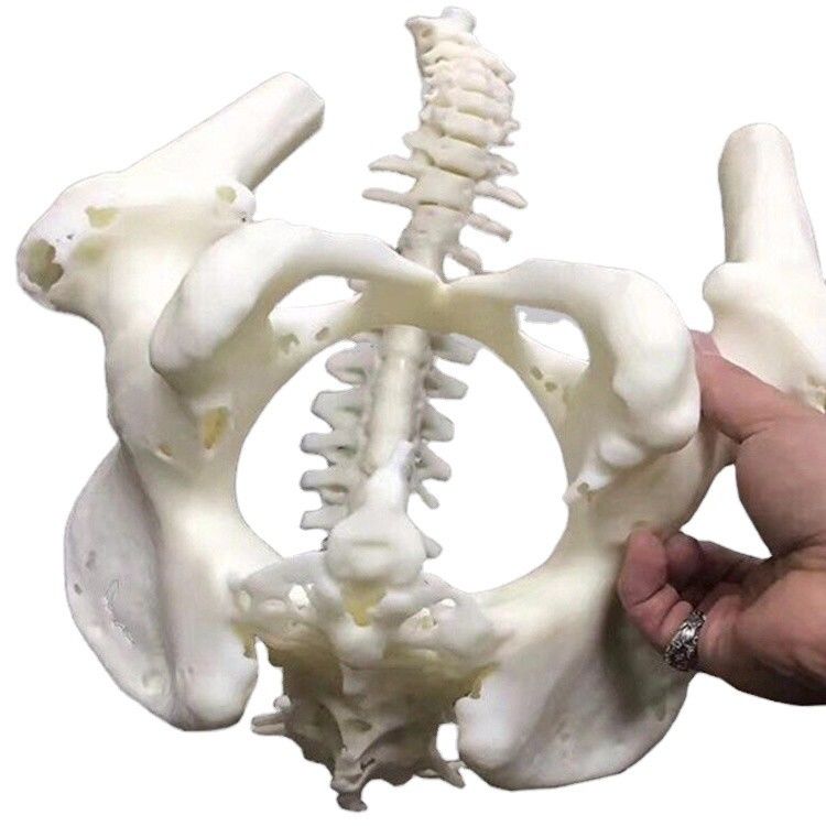 Service d'impression 3D ABS personnalisé ️ OEM de production de masse et prototypage rapide