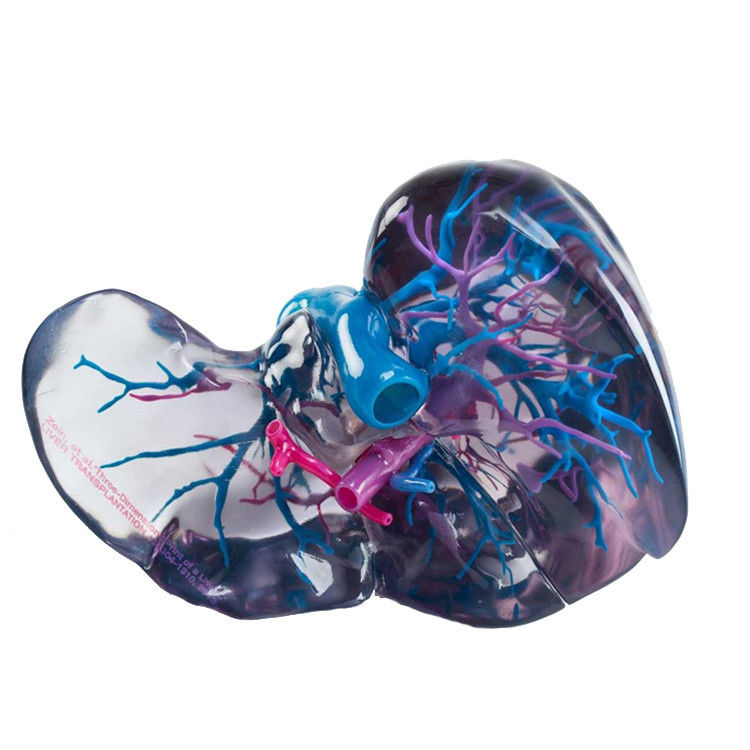 Matériau de résine Impression 3D pleine couleur Polyjet pour les fichiers STL de prototype médical