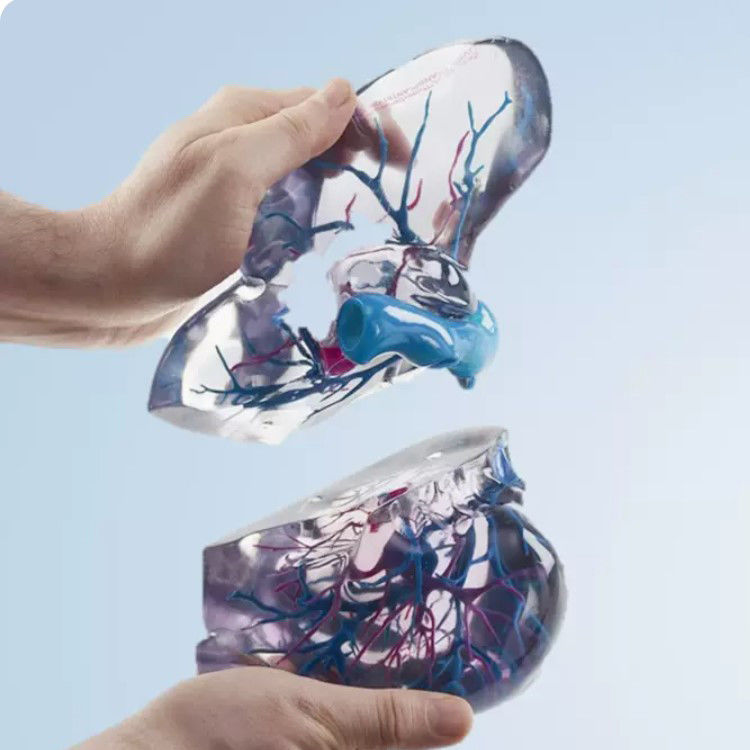 Matériau de résine Impression 3D pleine couleur Polyjet pour les fichiers STL de prototype médical