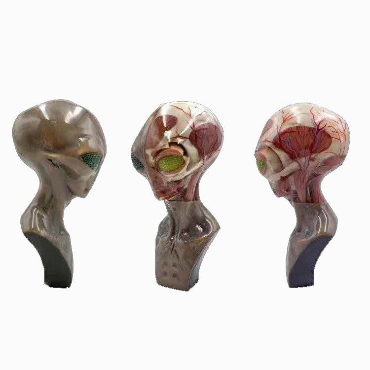 Service d'impression 3D multicolore haute résolution | Applications médicales avec le procédé SLM