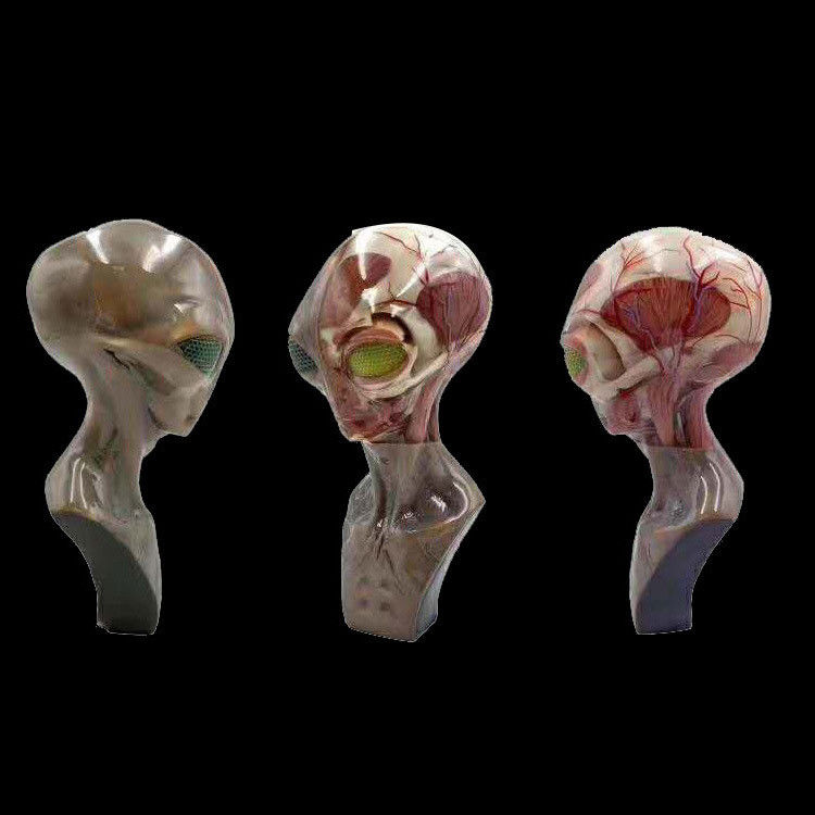 Service d'impression 3D multicolore haute résolution médicale avec processus SLM