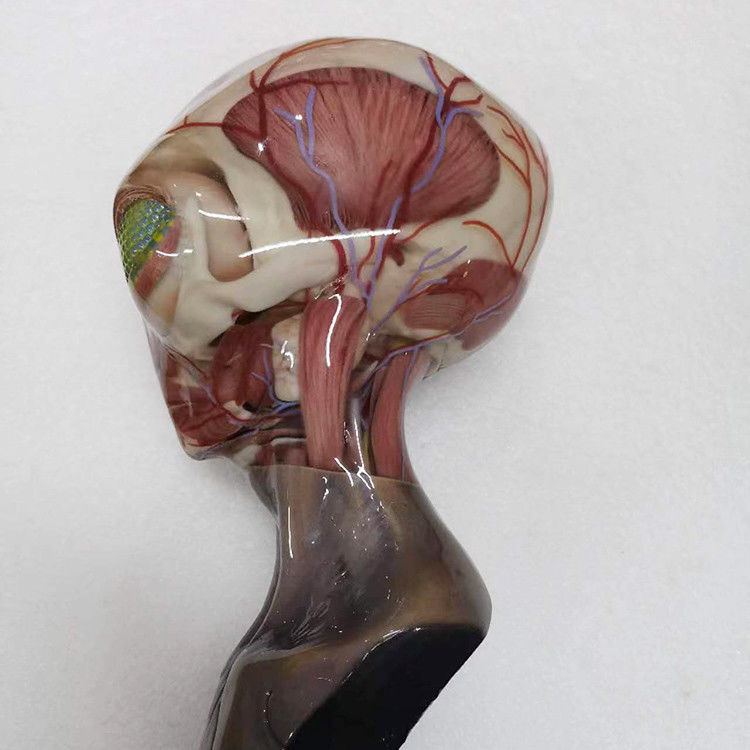 Service d'impression 3D multicolore en résine plastique Surface de revêtement intégrée