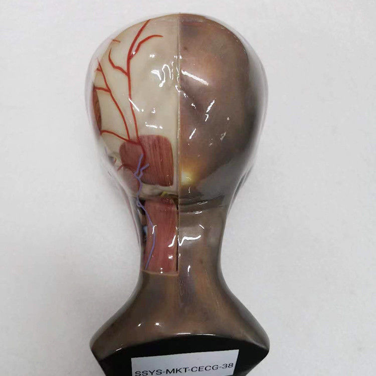 Service d'impression 3D multicolore en résine plastique Surface de revêtement intégrée